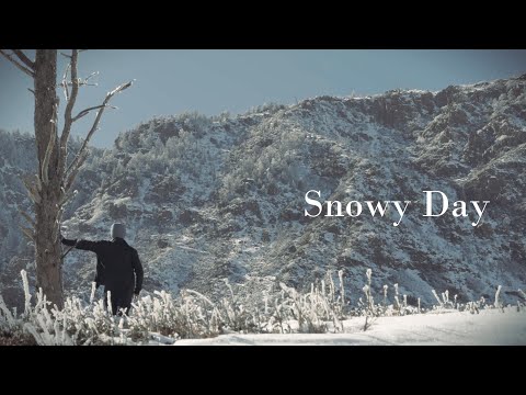 Snowy Day