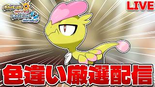 【色違い縛り実況 生配信】仲間連鎖でジャラコ色違い厳選 0~｜ポケモンUSUM
