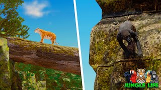NEW Jungle Life Map Info & Future Animals? | ROBLOX Jungle Life