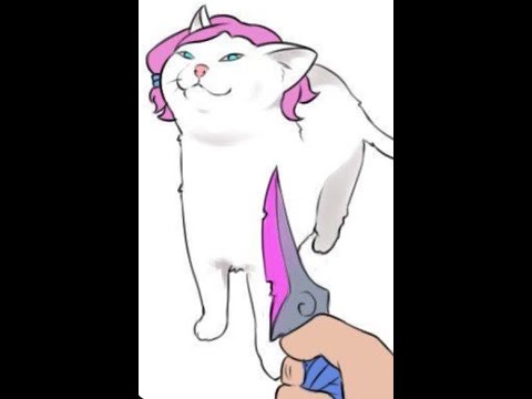 Paladins Maeve Experience