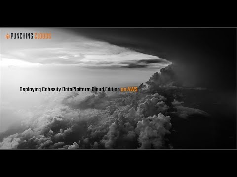 Cohesity DataPlatform CE Deployment on AWS