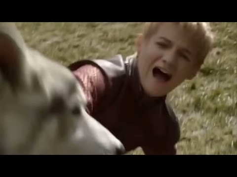 The Dire Wolf Situation is Crazy