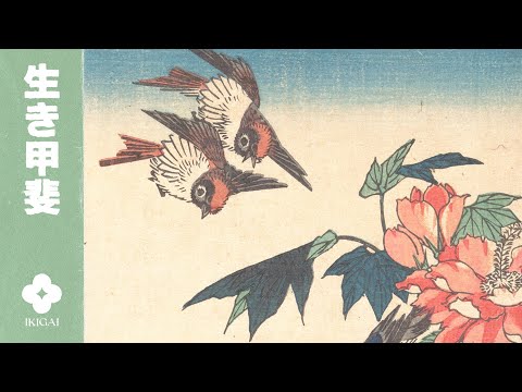 rose mallow blossoms | 飛び去る