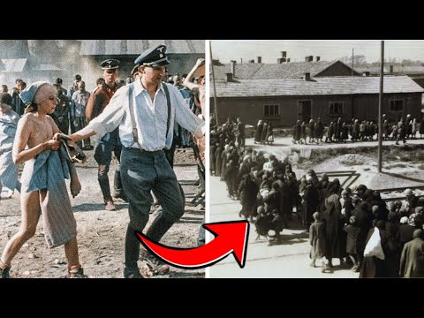 The Forgotten Secrets of Auschwitz – What History Tried to Erase