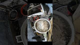 Pecktronics Online — Automation with the Real Ones - 21 December 2025 #homelab #garden #shorts