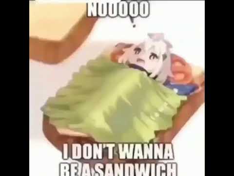be_a_sandwich.mp4