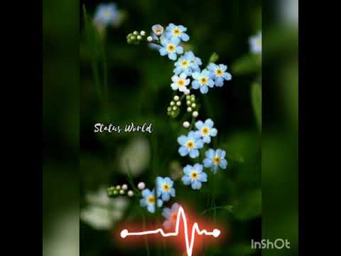 Pandu pande pootha malarukal..status #statusworld #malayalamstatus