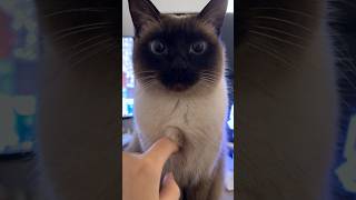 Carefully Calculated All The Factors 😂