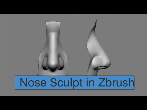 Nose Sculpting in Zbrush