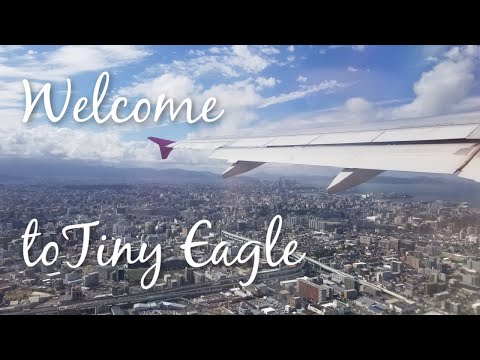 Tiny Eagle's Tiny Intro // Welcome to My Channel!