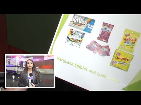 WMBCTV: Doctors Warn of Hidden THC in Halloween Candy as Look-Alike Edibles Send Victims to ER