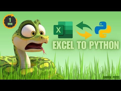 How to Read EXCEL File in Python using Pandas in One Minute.