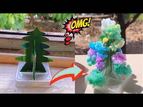 Self-blooming flower experiment | #shorts