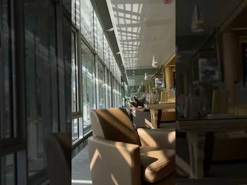 Cambridge Public Library