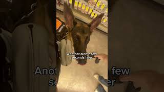 Cardiac Alert Service Dog In Action! #servicedog