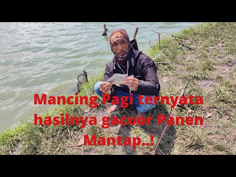 Mencoba mancing berangkat subuh lihatlah hasilnya!!