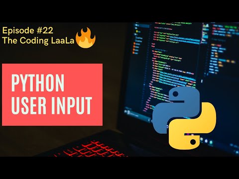 #22 User Input in Python | Python Tutorial for Absolute Beginners[Hindi]🔥 | Thonny IDE