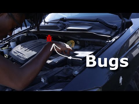The issue with estimating bug fixes