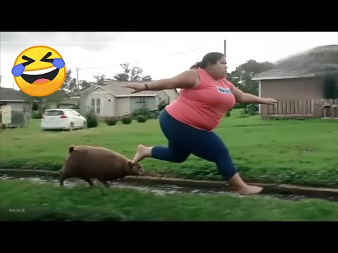 TRY NOT TO LAUGH 😆 Best Funny Videos Compilation 😂😁😆 Memes PART 248