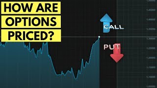 Basics of Options Pricing: How are Options Priced? ✅
