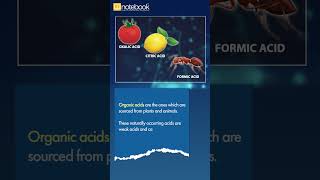 CBSE Class 10 | Acids, Bases & Salts Explained | Learn with Notebook – Fun, Fast & Clear!