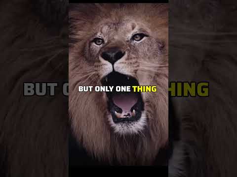 Sigma Rule 🗿 🔥 ~King in real life~#motivation #inspiration #attitude #viral #shorts #quotes