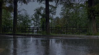 Calm rain on a quiet street, peace of mind, goodbye to insomnia, the perfect sound of rain, lullaby