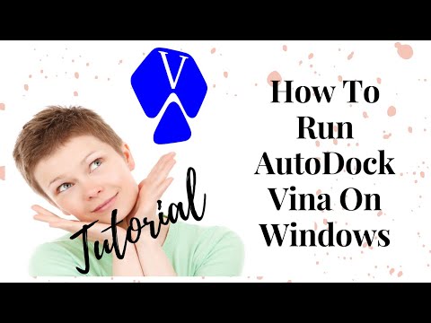 How To Run AutoDock Vina On Windows