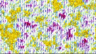 Colorful VJ Loops 1080p