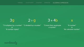 Algebraic Expressions (Coefficients, Constants, Constants, Variables, and Operators)