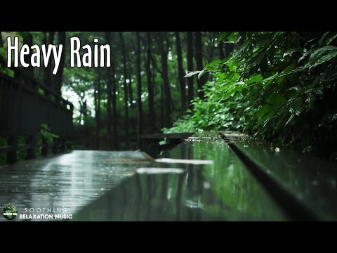 😴 Relieve & Goodbye Stress with Heavy Rain in Nature at Night, White Noise Help Relax