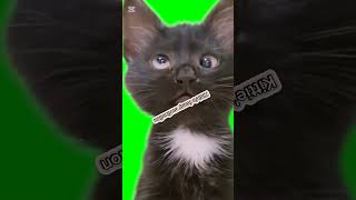 #funnymotivation