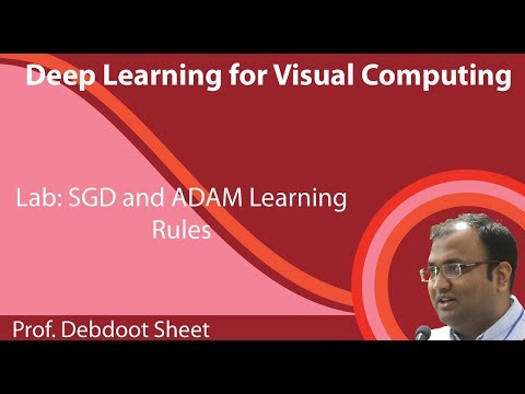Lecture 25 : SGD and ADAM Learning Rules