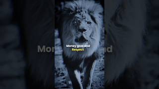 Sigma Rule 🔥 focus on money goal and respect 🔥#motivation #shorts #motivationalquotes