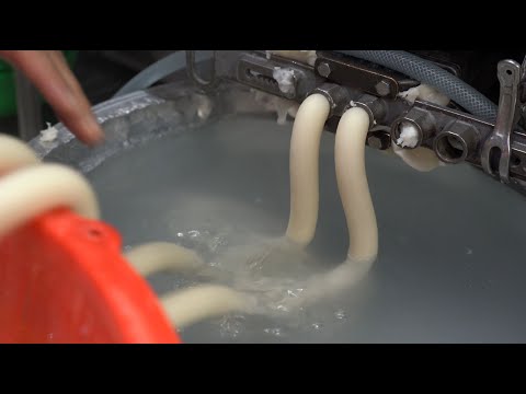 Korean Street Food - New Year's Cake! Rice cakes, various rice cake making