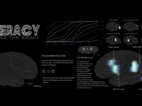 Dashboard Design - From The Mind Of A Zen Master