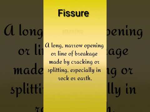 Word of the day || Fissue #englishgrammar #englishvocabulary #catexampreparation #englishlearning