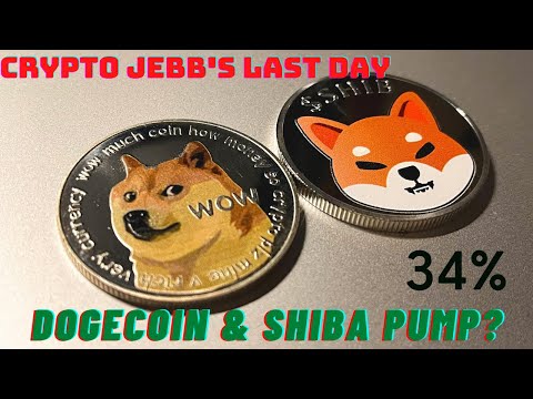 Crypto Jebb's Last Day Shiba & Doge See A Pump