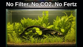 Natural Planted Dirted Tank Tutorial | Low Tech Aquascape & Ecosystem Aquarium | No Filter, No Co2