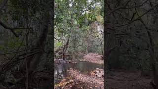 beautiful view from Aralam, kannur