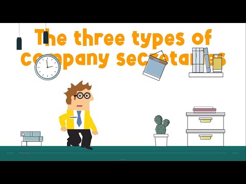 The 3 Types of Company Secretaries  Which One Are You