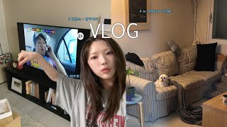 VLOG. 나의 곰팡이집 근황.. 🏚️ | 주말 내내 대청소하고 자취방 튜닝하는 부이로그