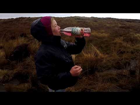 AMAZING DOGS. 10 MILE adventure with a full pack of dogs