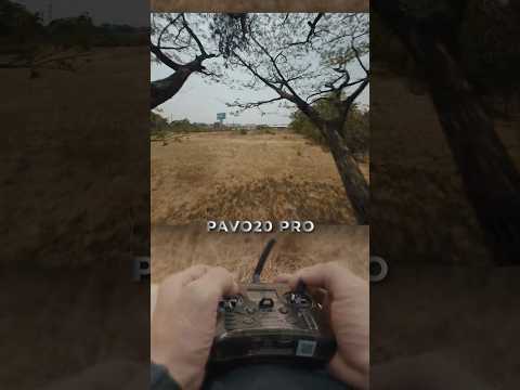 FPV FREESTYLE PAVO20PRO #shorts
