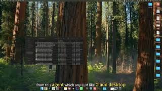 Demo of Agent Fabric