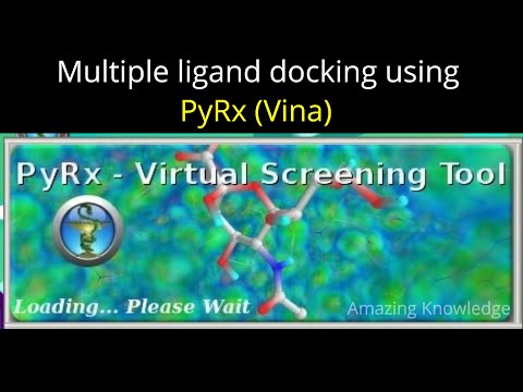 Step by step multiple ligand molecular docking using PyRx (Vina)