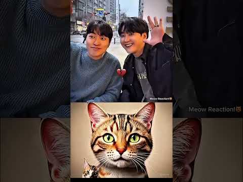 Brothers Aura...🤫  #shortvideo  ##shorts #cat #aura