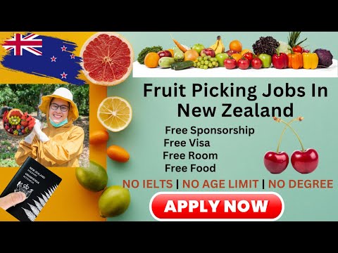 Fruit Picking Jobs New Zealand | New Zealand Work Visa