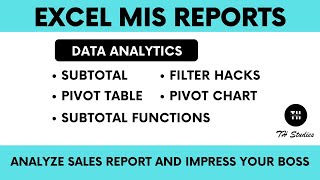 Excel-MIS Reports | How to make MIS reports in Excel | Attractive and Dynamic Reports | TH Studies