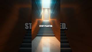 Reality Riddle in Sixty Seconds: A Fresh Illusion Sprint